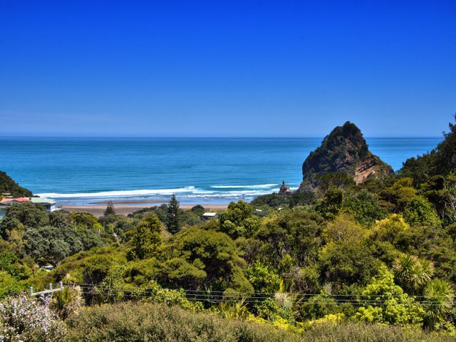 Seaview, Sun and Surf - Piha Holiday Home - 1046059 - photo 5