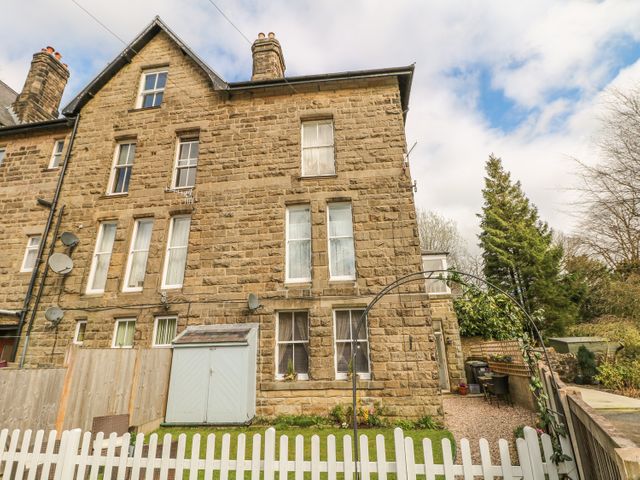 The Lanterns photo 1