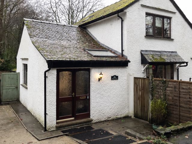 Fir Trees - 1063195 - photo 1