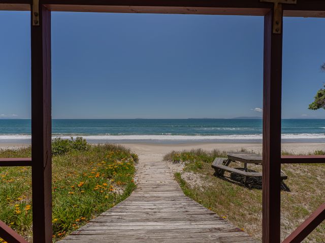 Poppy's Beach House - Beachfront Whangapoua Home - 1067295 - photo 3