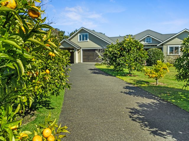 Homestead Haven - Tauranga Holiday Home - 1141887 - photo 1