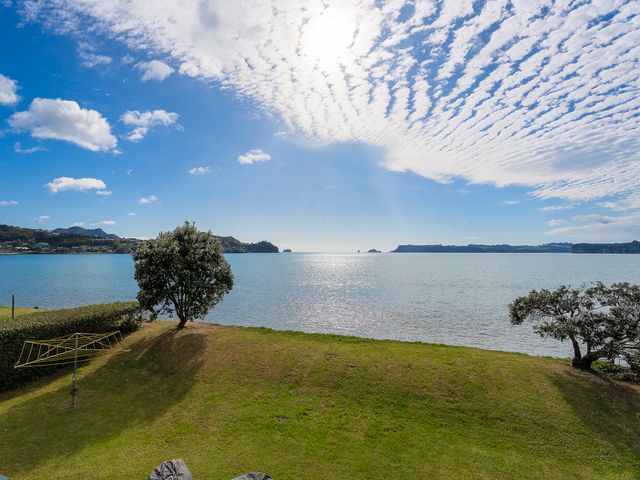 Buffalo Hill - Whitianga Holiday Home - 1148105 - photo 3