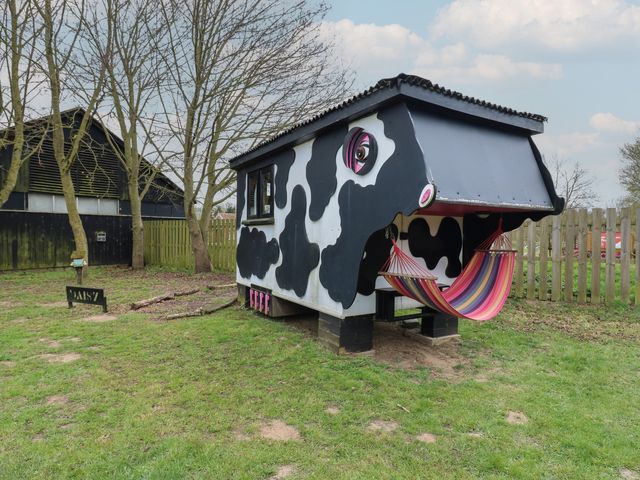 Cow Sheds
