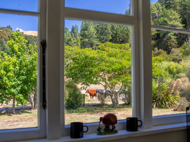 Kauri Cottage at Marble Hills - Marahau Holiday Home - 1153502 - photo 5