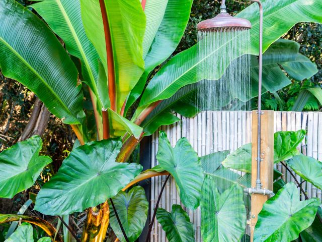 The Cabin - Mangawhai Heads Studio - 1154368 - photo 3