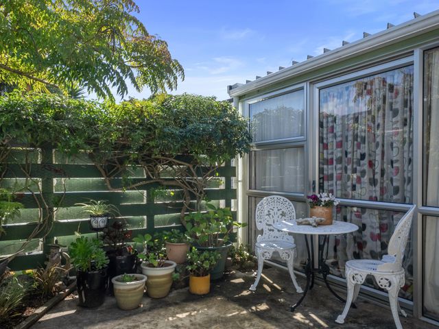 Olive Terrace - Paraparaumu Holiday Home - 1155738 - photo 4