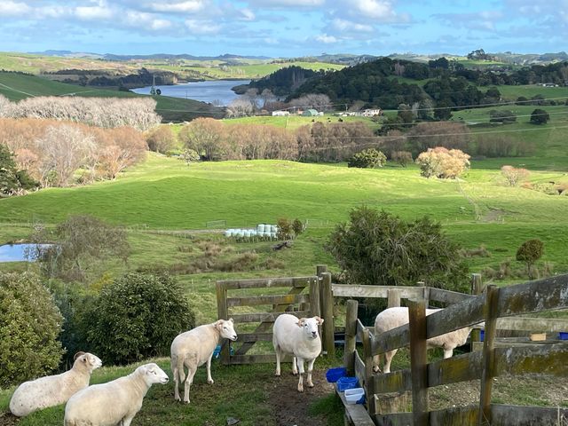 Kaiwaka Paradise - Kaiwaka Holiday Home - 1156107 - photo 2