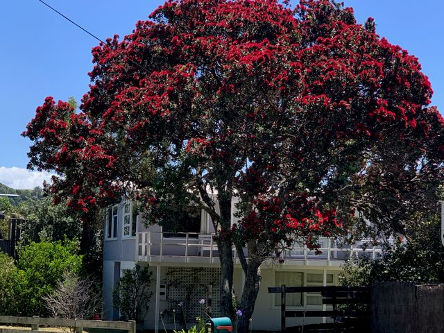 Playtime Plus - Matapouri Holiday Home - 1159519 - photo 2