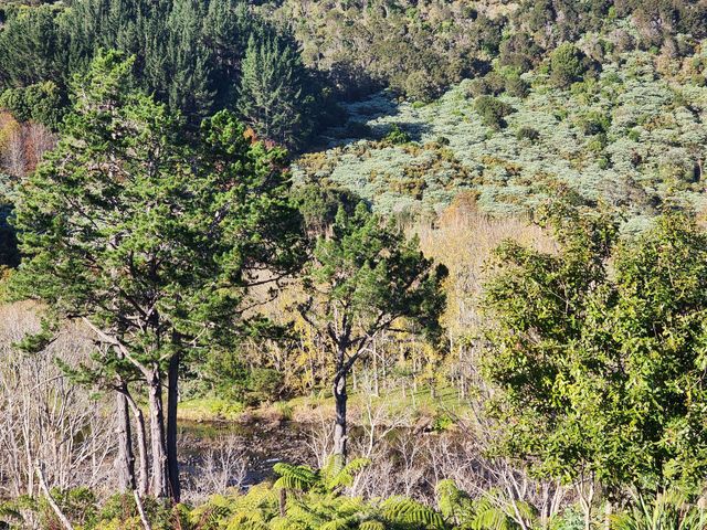 Thames River Valley Studio Retreat 1 - 1159902 - photo 5