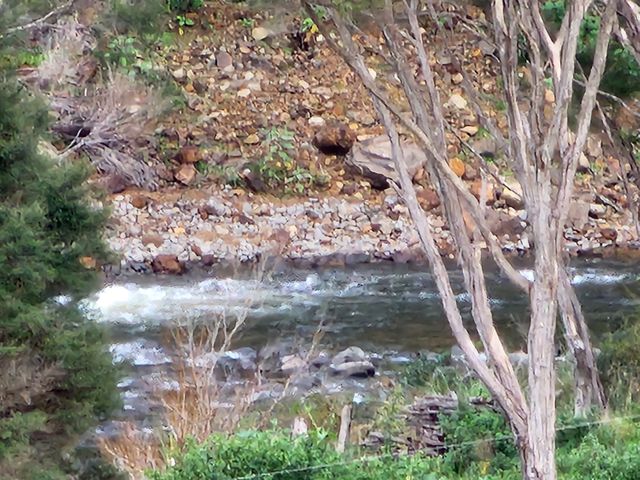 Thames River Valley Studio Retreat 3 - 1159965 - photo 5