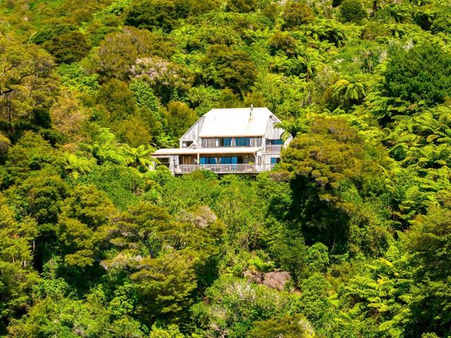 A house surrounded by trees and bushes at Moetapu Bay Bliss - Marlborough Sounds Retreat in Moetapu Bay