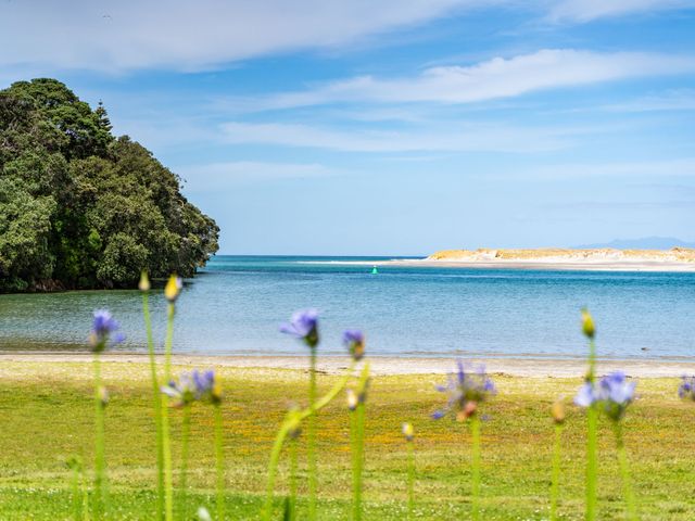 Mangawhai Marvel - Mangawhai Heads Holiday Unit - 1165672 - photo 4