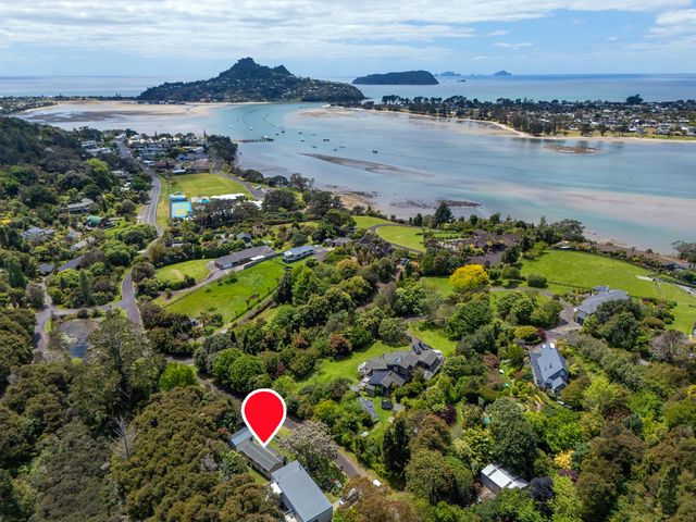 Aerial view of a coastal residential area with houses surrounded by trees and water with boats at Rewa Rewa Retreat in Tairua