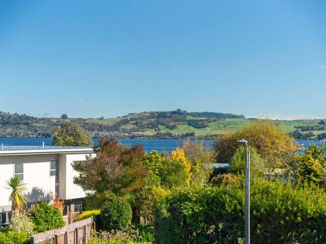 Serenity Cottage - Taupo Holiday Home - 1175756 - photo 1