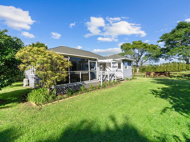 Bell Cottage - Oakura Holiday Home - 1176138 - photo 1