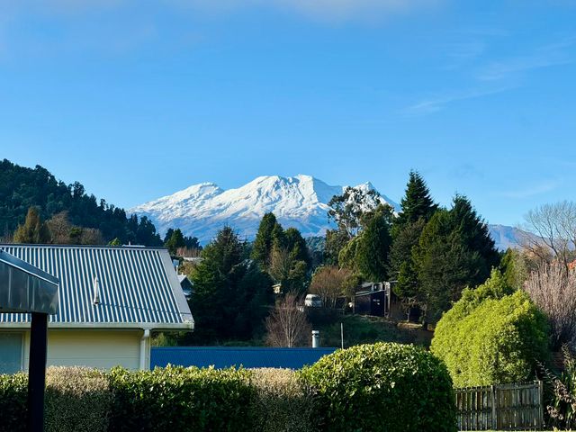 A view of a mountain and trees at Alpine Retreat - Ohakune Holiday Home in Ohakune