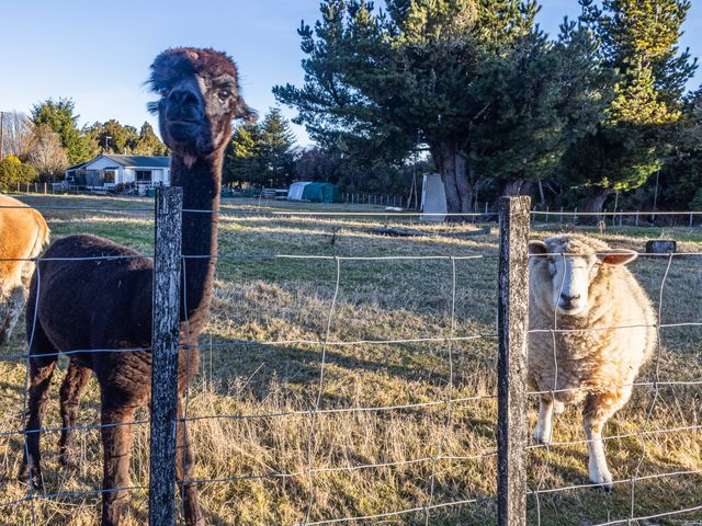 Taylor Lodge Adventure Base -  Erua Holiday Home - 1178671 - photo 3