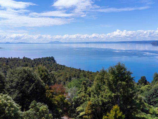 A landscape view of a lake surrounded by trees and mountains at Pukawa Bliss - Pukawa Holiday Home Pukawa Bay