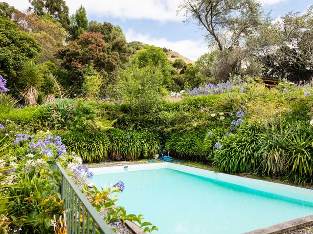 Dunluce Coastal Farmstay - Kaikoura Holiday Home - 1183294 - photo 3