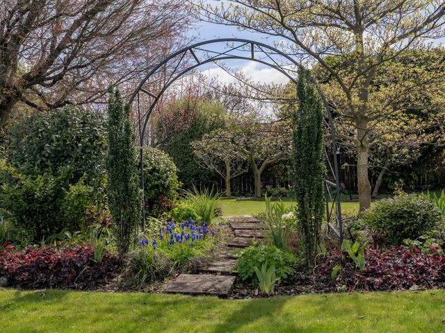 Alpine Meadow Haven - Wanaka Holiday Home - 1184345 - photo 5