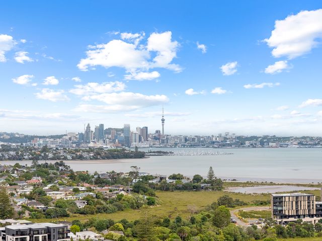 A city skyline with waterfront and greenery at Auckland
