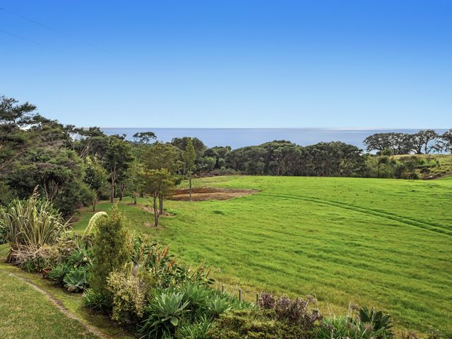 Little Kowhai - Te Kaha Holiday Home - 1206918 - photo 2