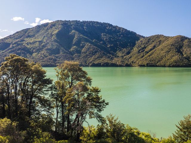 A mountain with greenery and a lake at Tepuia Cottage - Havelock Holiday Retreat Marlborough