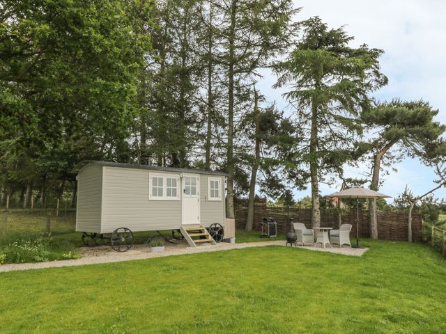 Bellwether - 986040 - photo 1