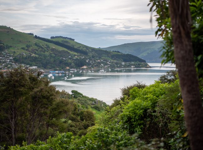 A bay with boats on the water surrounded by green hills and vegetation at Overton Cottage - Akaroa Holiday Home in Akaroa
