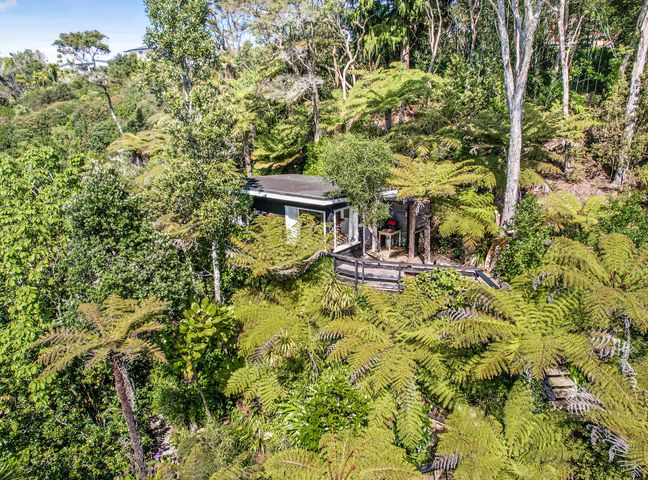 A small cabin surrounded by dense forest with large ferns at The Treehouse - Raglan Holiday Studio Lorenzen Bay Raglan