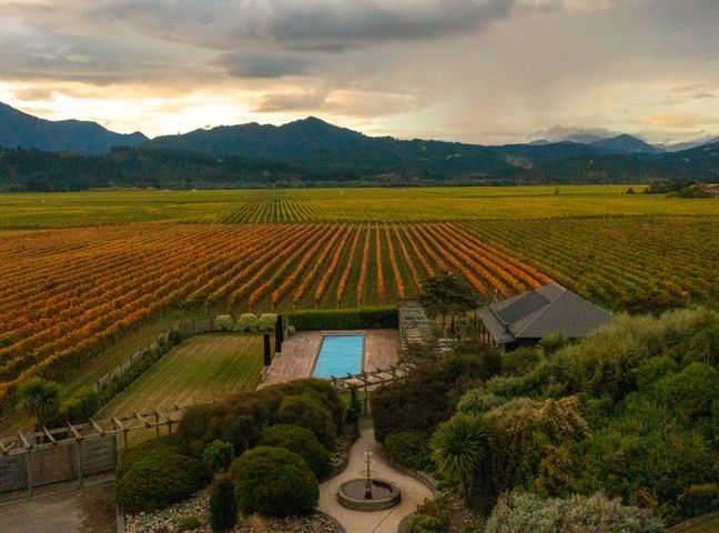 A vineyard with rows of grapevines a swimming pool a house and garden with a fountain and mountains in the background at The Cellar Door - Blenheim