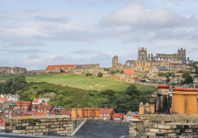 Salty Fox - North Yorkshire (incl. Whitby) - 1011163 - thumbnail photo 25