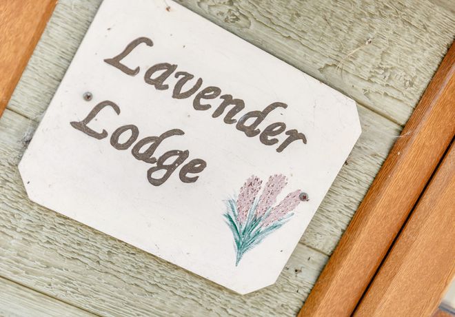 Lavender Lodge - Somerset & Wiltshire - 12644 - thumbnail photo 3