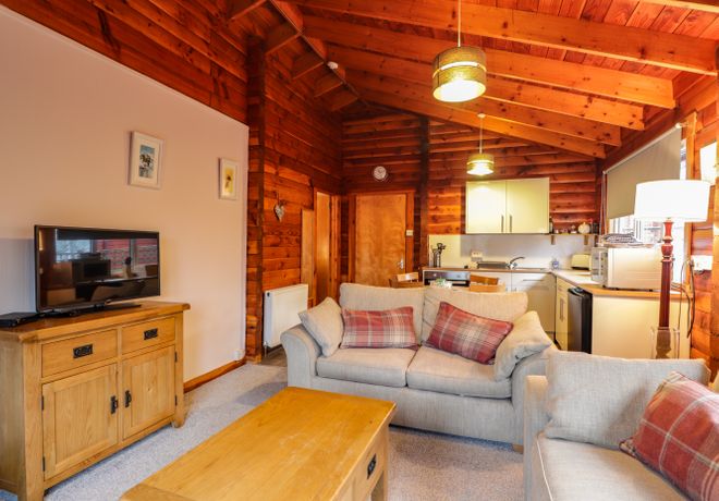 Spruce Lodge - Scottish Highlands - 30494 - thumbnail photo 6