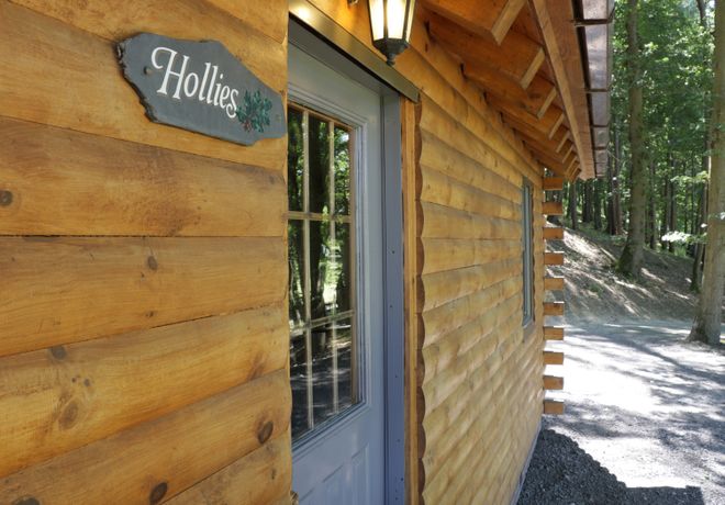 Hollies Lodge - Mid Wales - 915357 - thumbnail photo 2