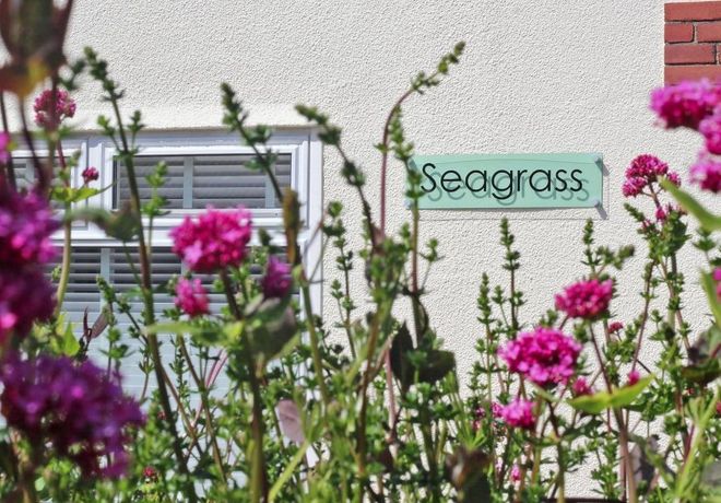 Seagrass - Cornwall - 959875 - thumbnail photo 11