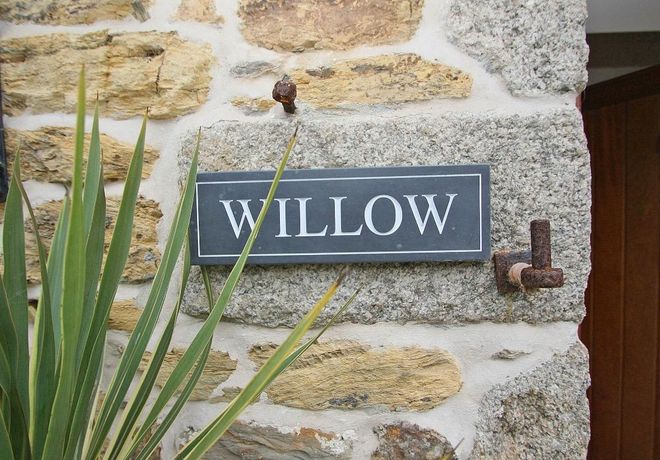 Willow - Cornwall - 959925 - thumbnail photo 22