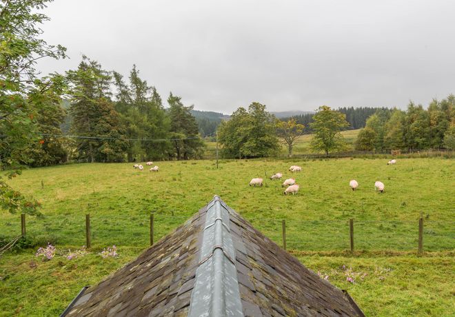 Braes of Foss Farmhouse - Scottish Lowlands - 966025 - thumbnail photo 59
