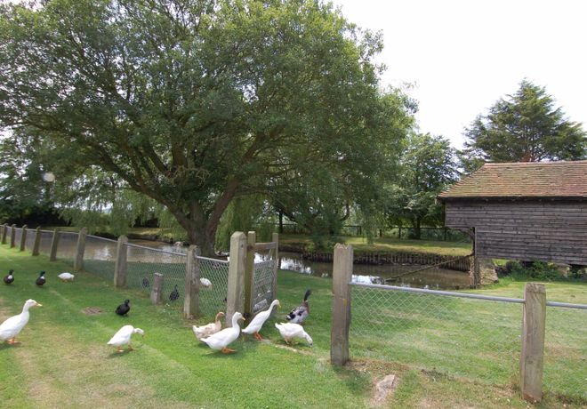 Acorn Cottage - Somerset & Wiltshire - 967264 - thumbnail photo 9