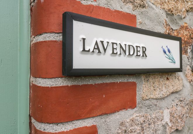 Lavender Cottage - Cornwall - 982900 - thumbnail photo 4
