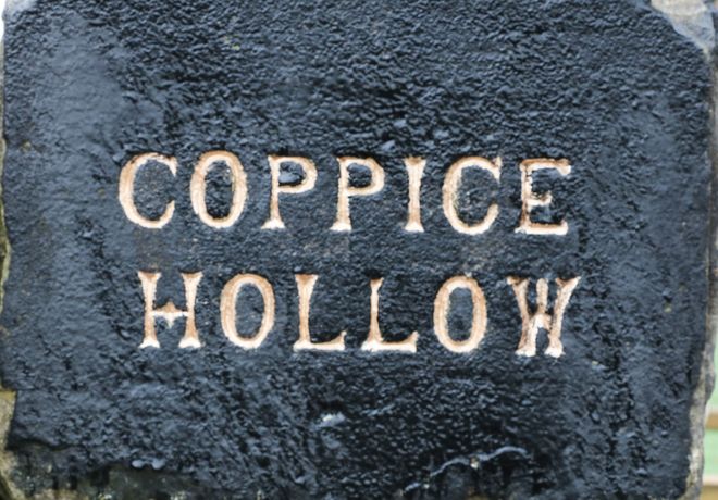 Coppice Hollow - Peak District - 993776 - thumbnail photo 2