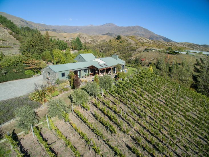 queenstown vineyard accommodation