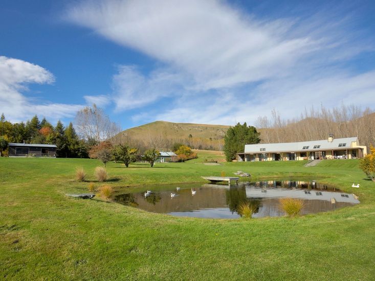 pet friendly accommodation queenstown