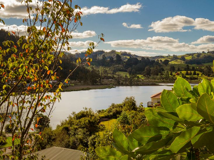 Views from Tairua Treehouse