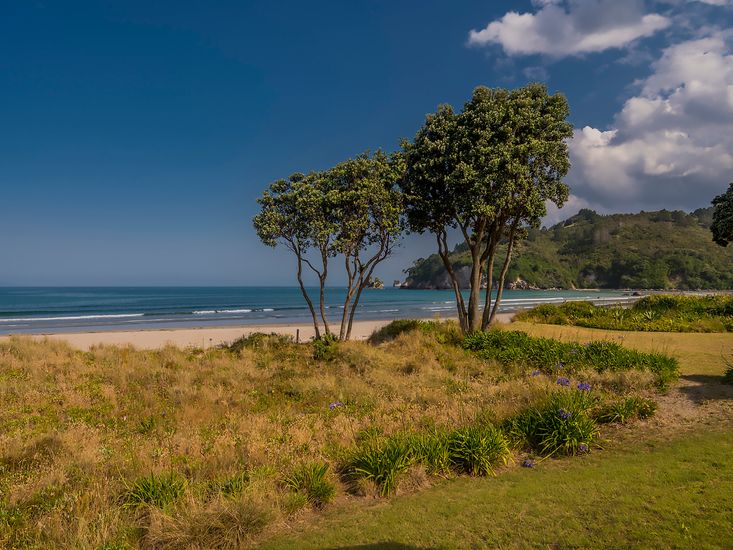 Beachfront Beauty Whangamata Beachfront Holiday Home Bachcare NZ