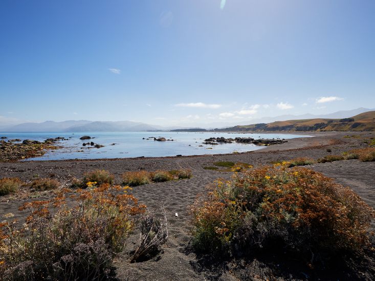 The Kaikoura Bach Bachcare NZ