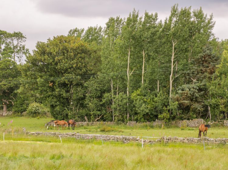 Thirley Beck Lodge Harwood Dale East Syme North York Moors