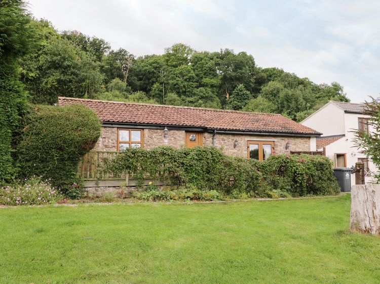 Nibletts Patch Cottage Littledean Pope S Hill Self Catering