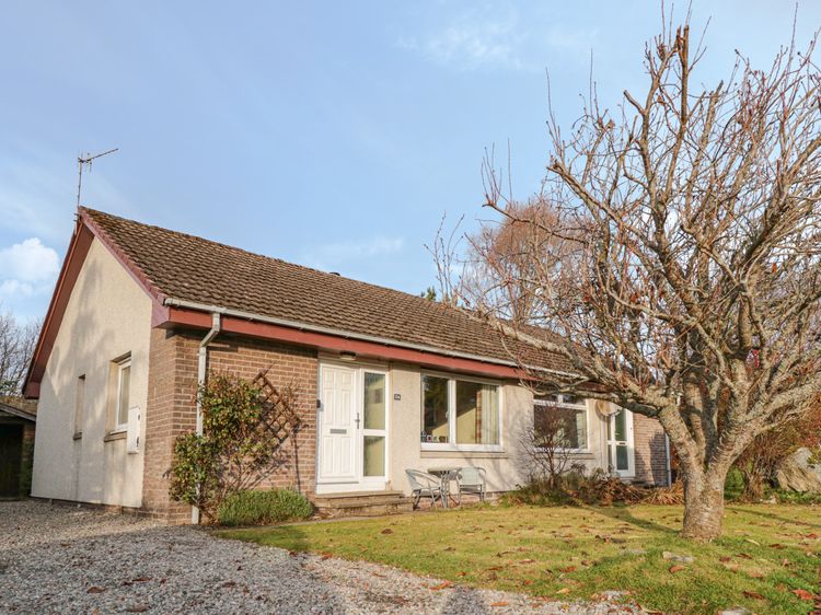 2022 Christmas Cottage Steam Steam Cottage | Aviemore | Dalfaber | Self Catering Holiday Cottage