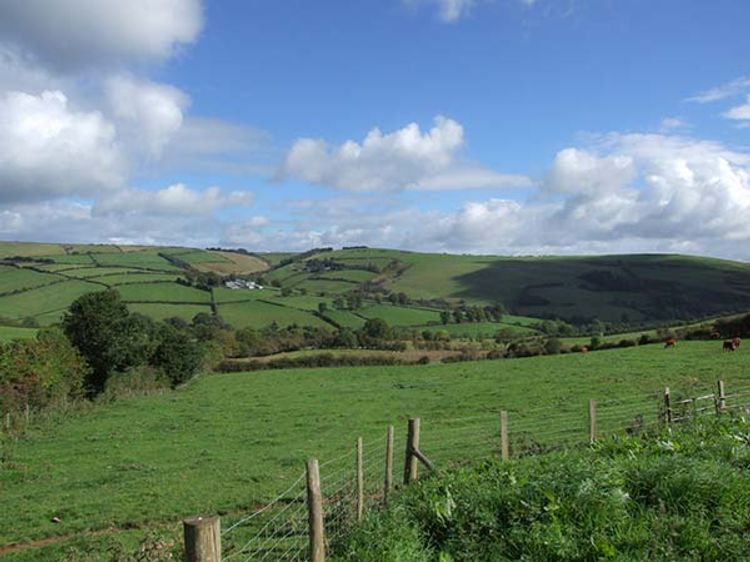 Rose Cottage Winforton Self Catering Holiday Cottage